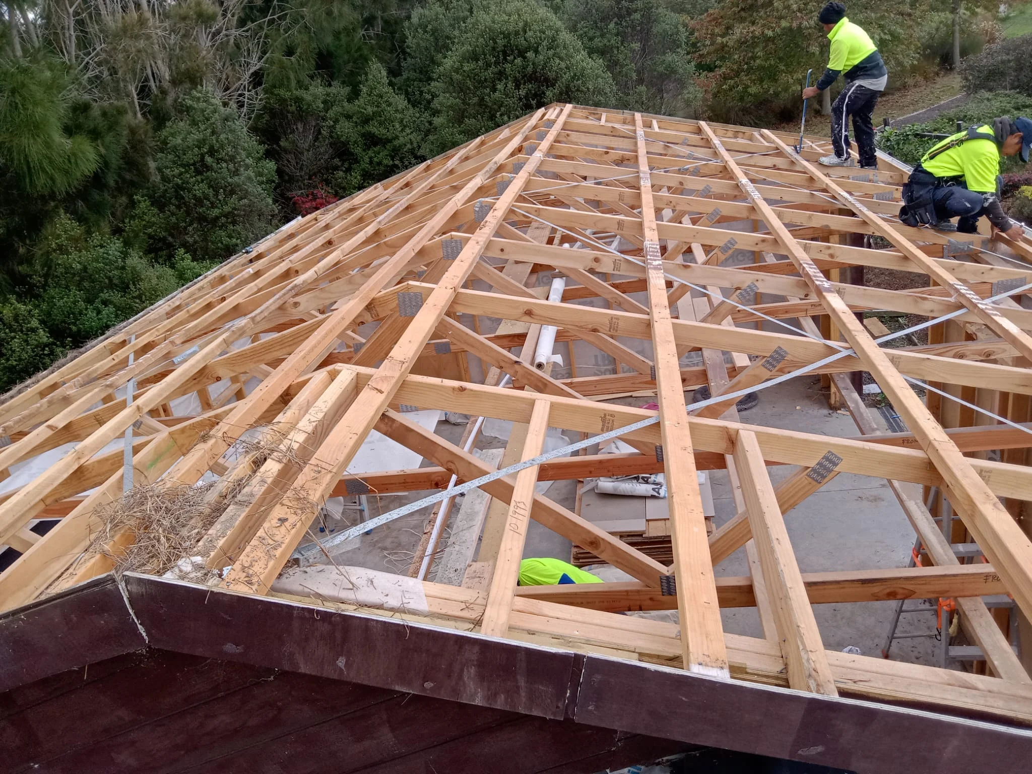 building a house nz
