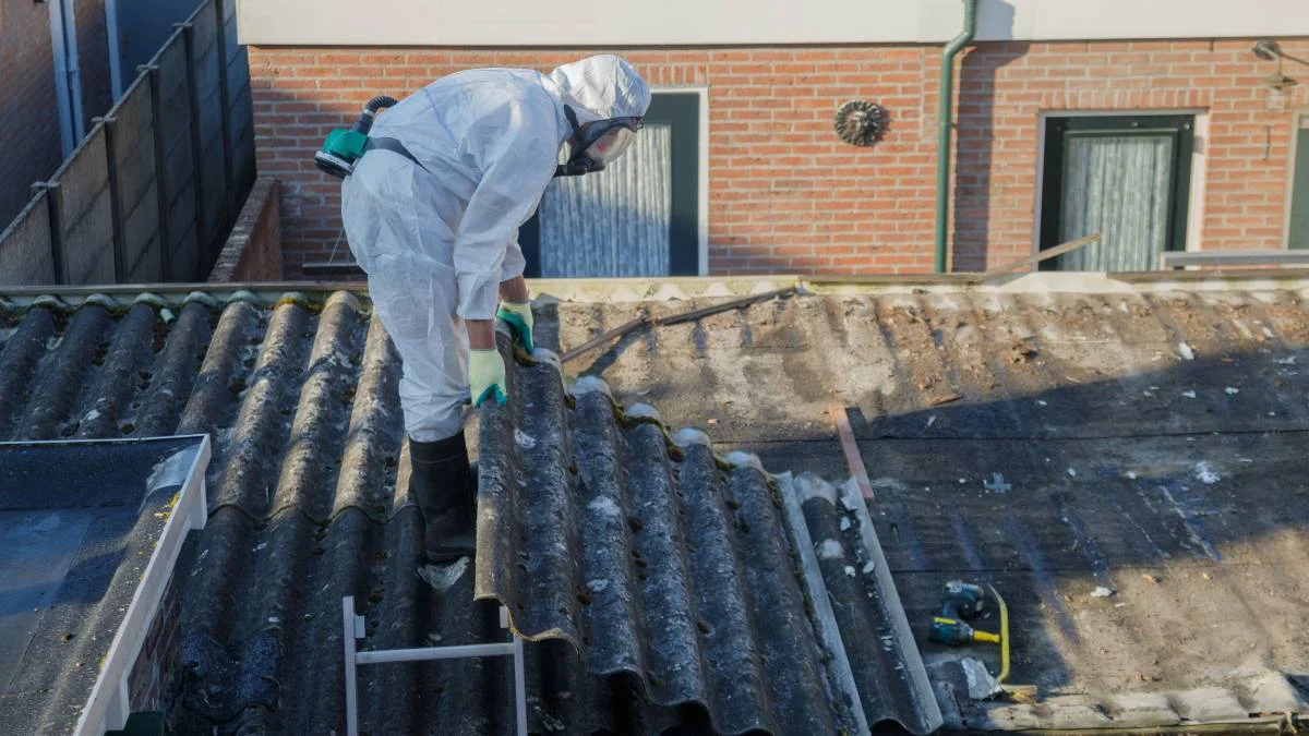asbestos removal cost nz